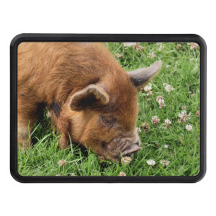 CUTE PIG HITCH COVER