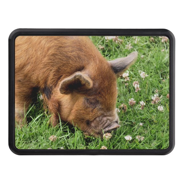 CUTE PIG  HITCH COVER (Front)