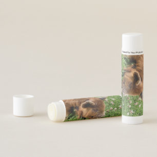 CUTE PIG LIP BALM