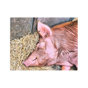CUTE PIG METAL PRINT