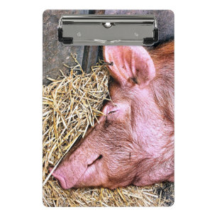 CUTE PIG MINI CLIPBOARD
