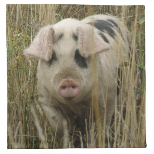 Cute Pig Napkin