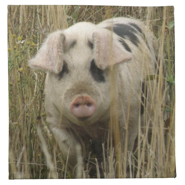 Cute Pig Napkin (Front)