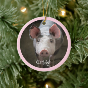 Cute Pig Personalized Ceramic Ornament