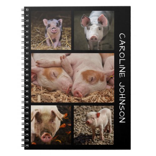 Cute Pig Photo Collage Notebook