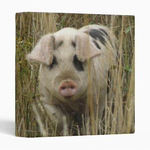 Cute Pig Photograph Album Binder