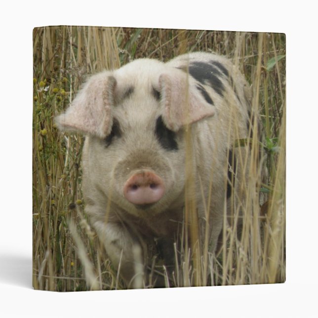 Cute Pig Photograph Album Binder (Front/Spine)
