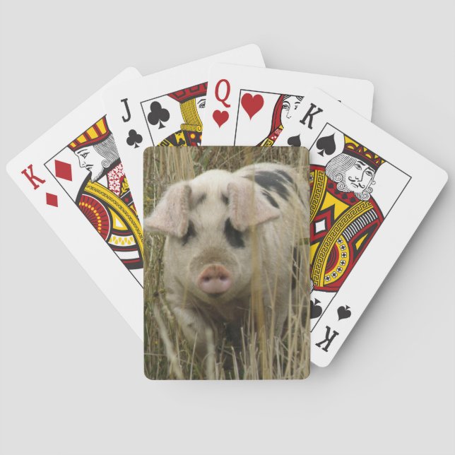 Cute Pig Playing Cards (Back)