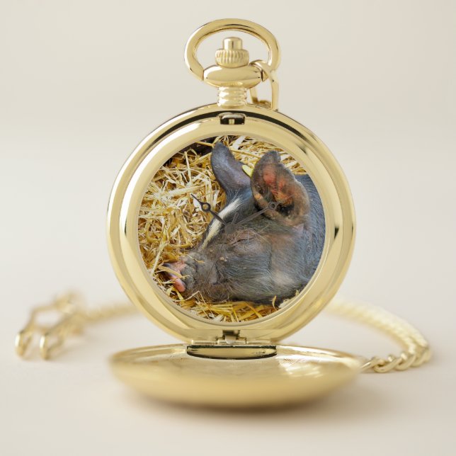 CUTE PIG POCKET WATCH (Inside)