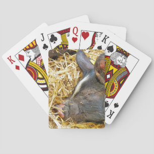 CUTE PIG POKER CARDS