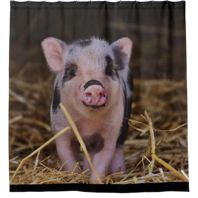 Cute Pig Shower Curtain (Front)
