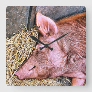 CUTE PIG SQUARE WALL CLOCK