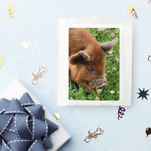 CUTE PIG   TEA BAG DRINK MIX