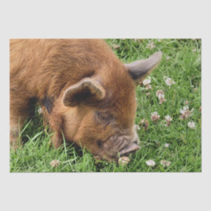 CUTE PIG TISSUE PAPER