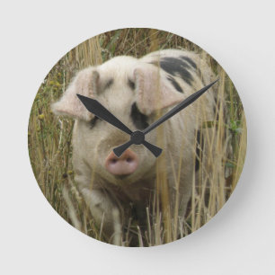 Cute Pig Wall Clock
