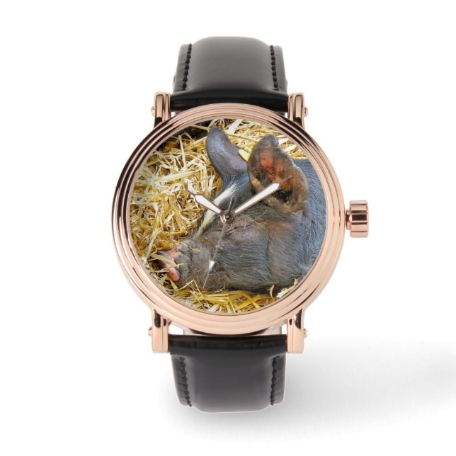 CUTE PIG WATCH (Front)