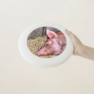 CUTE PIG Wham-O FRISBEE