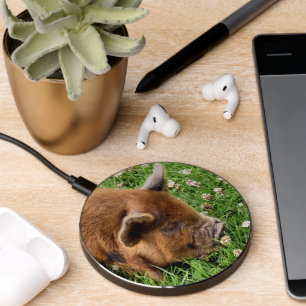 CUTE PIG WIRELESS CHARGER