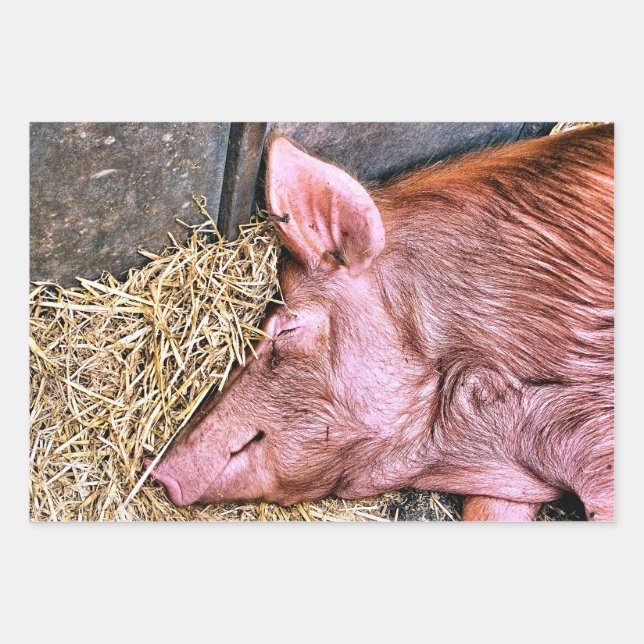 CUTE PIG WRAPPING PAPER SHEETS (Front)