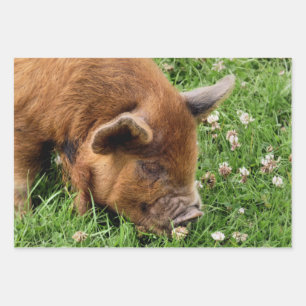 CUTE PIG WRAPPING PAPER SHEETS