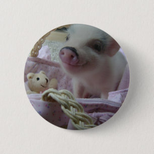 Cute Piglet Button