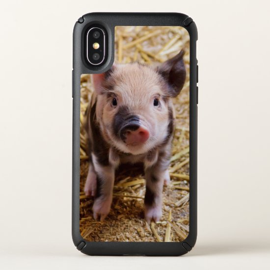 Cute Piglet iphone x case