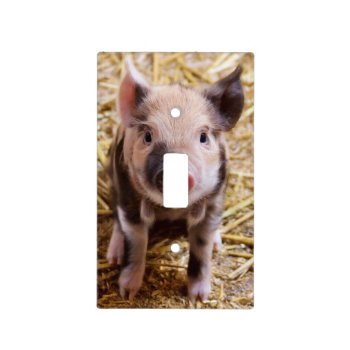 Cute Piglet Light Switch Cover by pdphoto at Zazzle