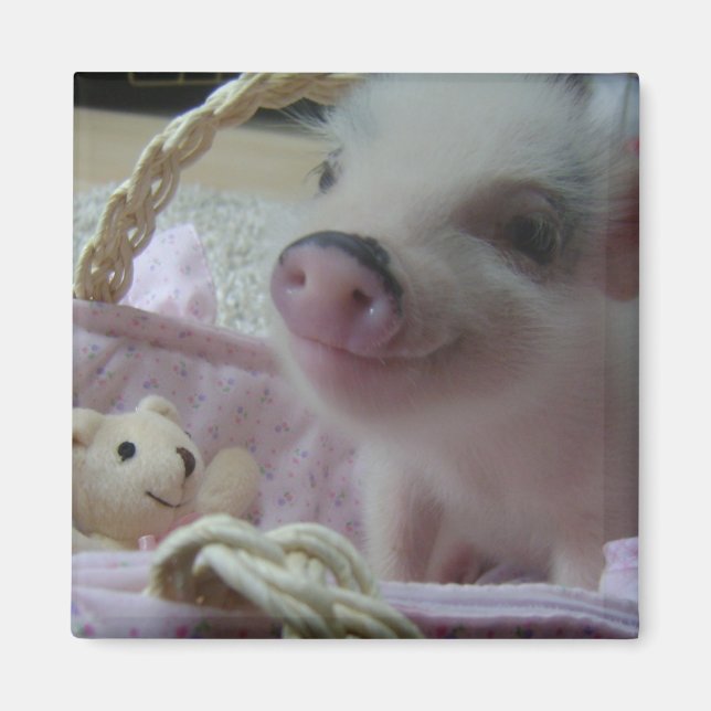 Cute Piglet Magnet (Front)