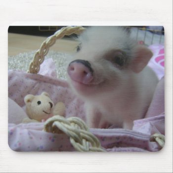 Cute Piglet Mouse Pad by ThePigPen at Zazzle