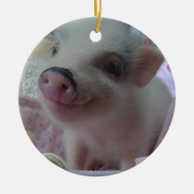Cute Piglet Ornament (Front)