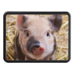 Cute Piglet Tow Hitch Cover at Zazzle