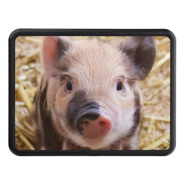 Cute piglet tow hitch cover (Front)