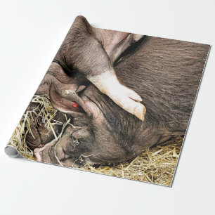 CUTE PIGS WRAPPING PAPER
