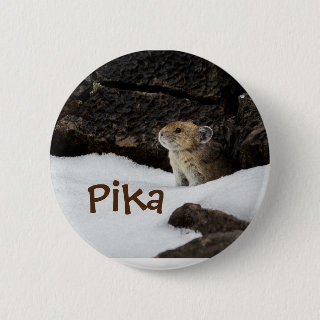 Cute Pika in the Snow Photo Button (Front)