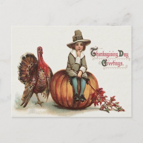 Cute Pilgrim Turkey Pumpkin Fall Leaves Postcard