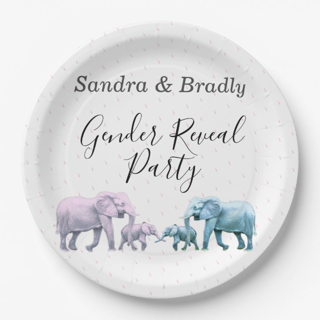 Cute Pink and Blue Gender Reveal Party Paper Plates (Front)