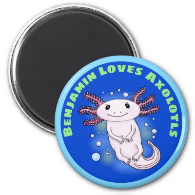Cute pink axolotl with blue bubbles pet cartoon magnet