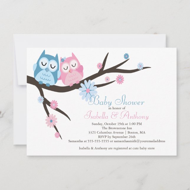 Cute Pink & Blue in Love Owl Couple Baby Shower Invitation (Front)