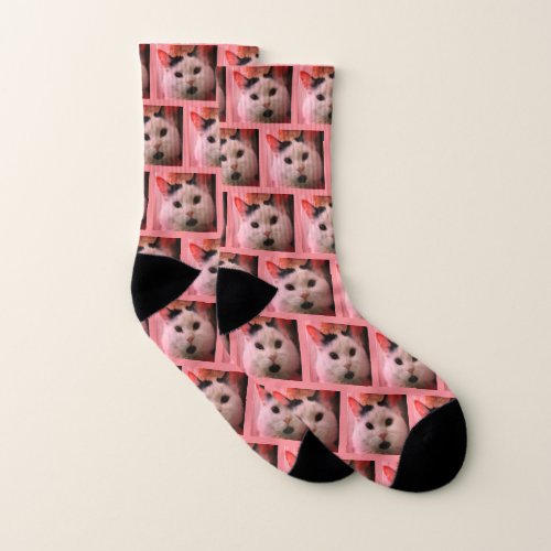 Cute Pink Cat Photo Socks