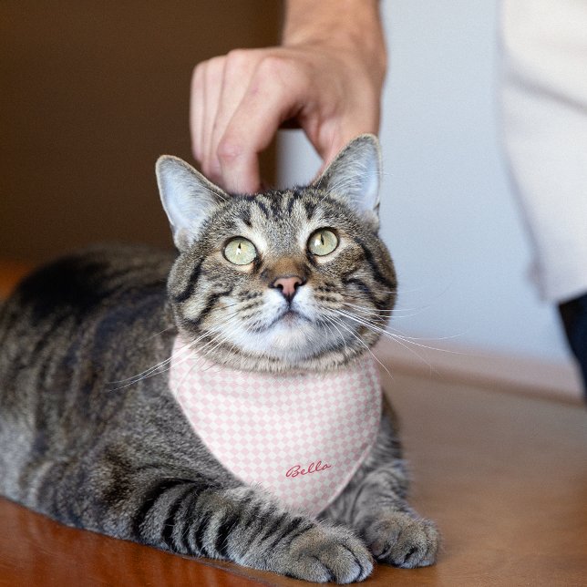 Cute Pink Checkered Pattern Dog Cat Puppy Name Fun Bandana (Cute Pink Checkered Pattern Dog Cat Puppy Name Fun Bandana)