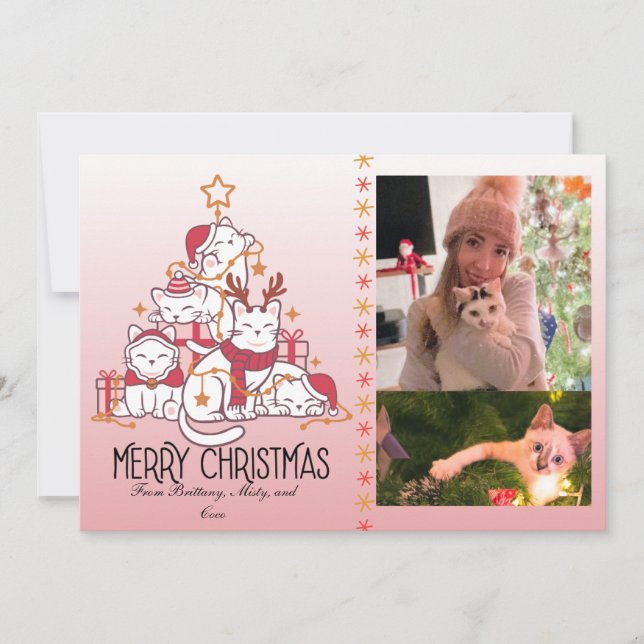 Cute Pink Christmas Kitties Holiday Card (Front)