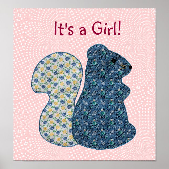 Cute Pink Country Style Squirrel Baby Girl Poster (Front)