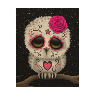 Cute Pink Day of the Dead Sugar Skull Owl Stars Wood Wall Art