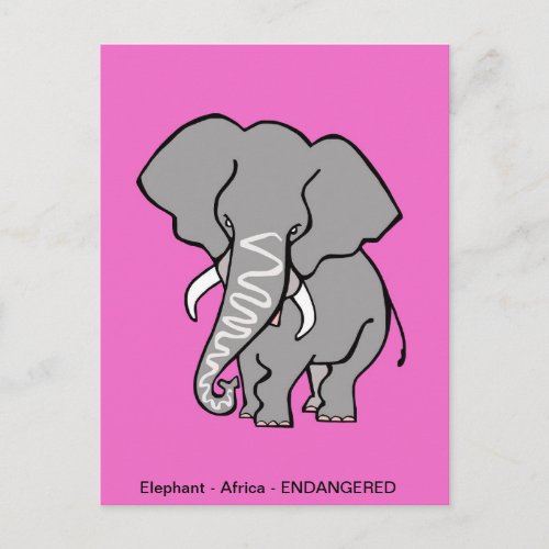 Cute pink _ ELEPHANT _ Wildlife _ Nature _ Postcard