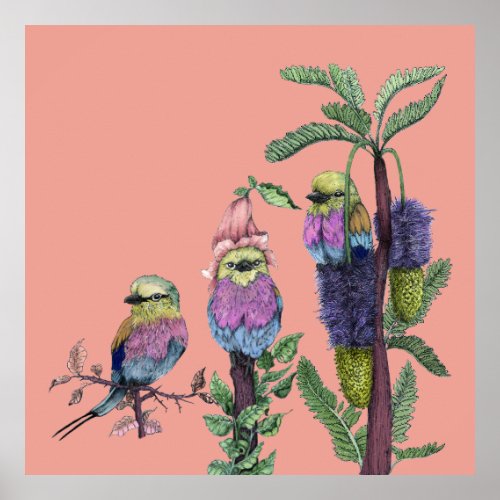 Cute Pink Lilac Breasted Roller African Bird Poster