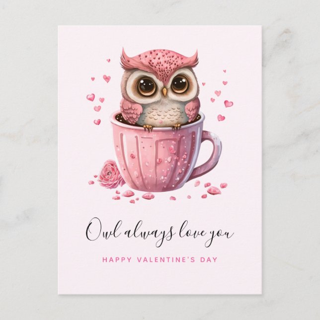 Cute Pink Owl in a Cup Valentine's Day Postcard (Front)