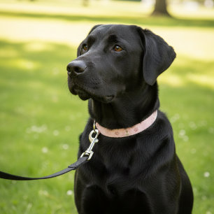 Cute Pink Paw Dog Girl Pet Custom Name Collar