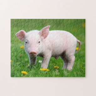 Cute Pink Piglet and Dandelion Flowers Jigsaw Puzzle