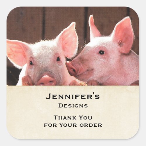 Cute Pink Piglets Animal Photo Business Thank You Square Sticker