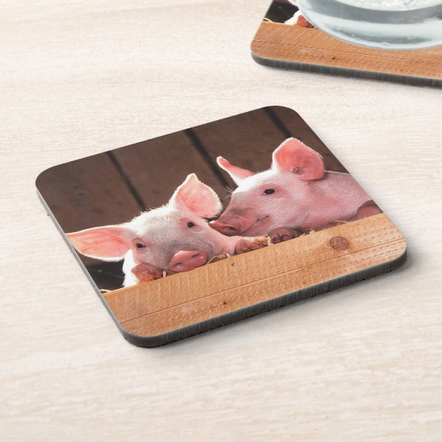 Cute Pink Piglets Animal Photograph Beverage Coaster (Left Side)